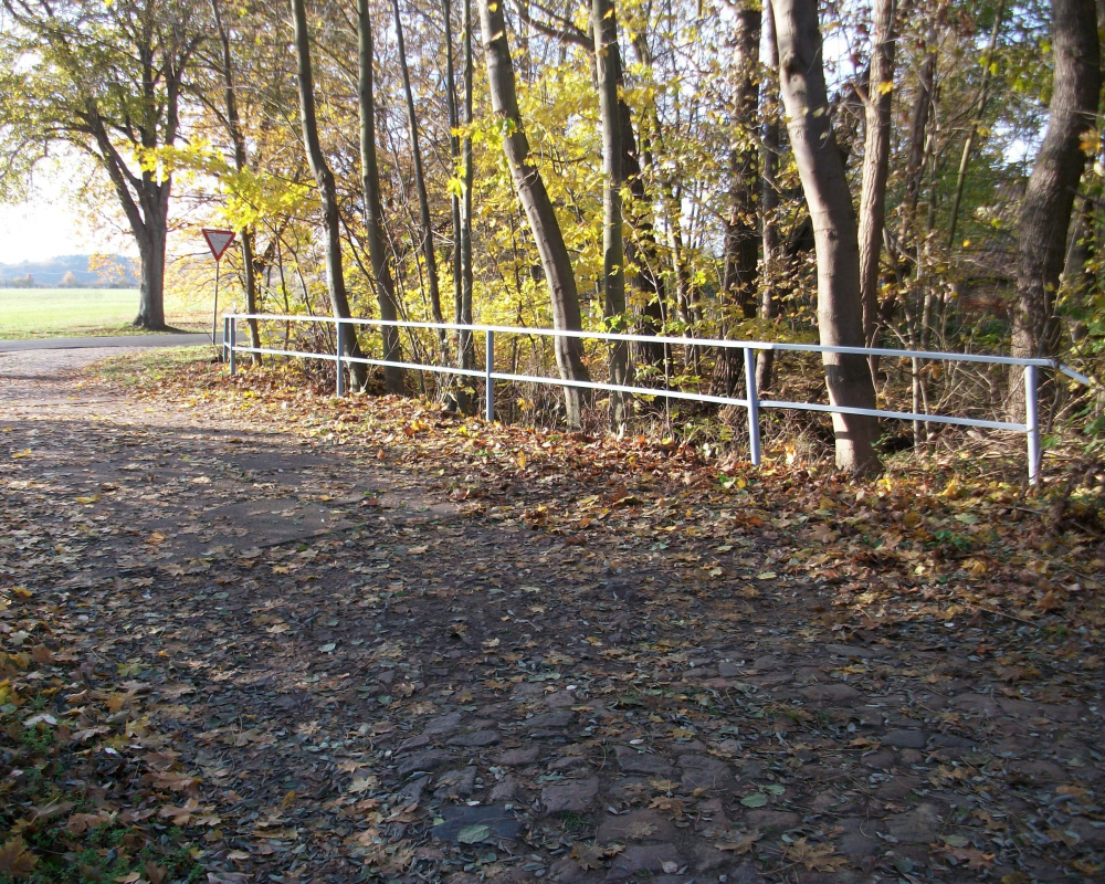 Geländer Waldweg